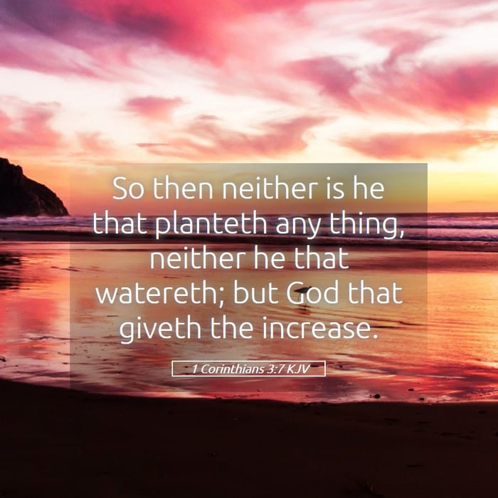 1 Corinthians 3:7 — Square (1:1)