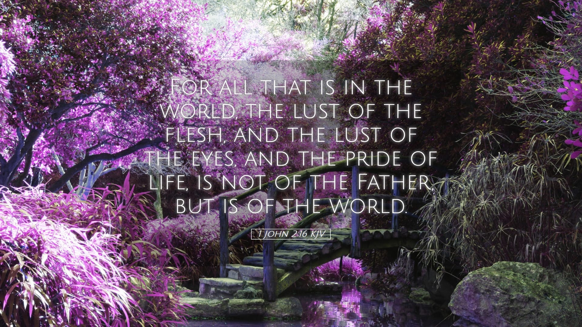 1 John 2:16 — Desktop (Landscape)