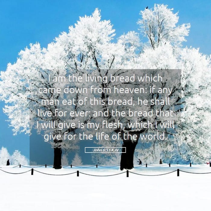 John 6:51 — Square (1:1)