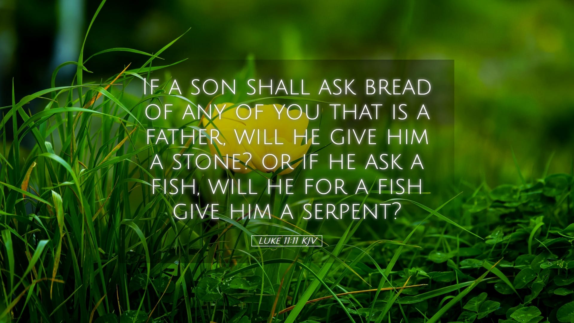 Luke 11:11 — Desktop (Landscape)