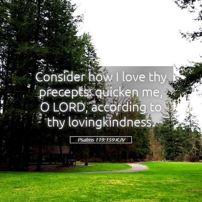 Psalms 119:159 — Square (1:1)