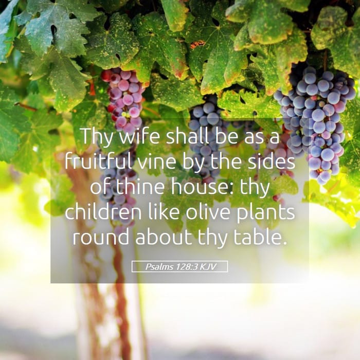 Psalms 128:3 — Square (1:1)