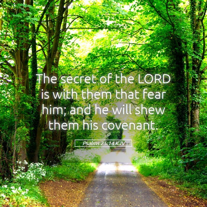 Psalms 25:14 — Square (1:1)