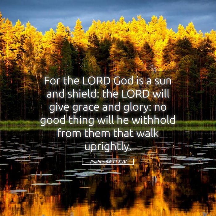 Psalms 84:11 — Square (1:1)