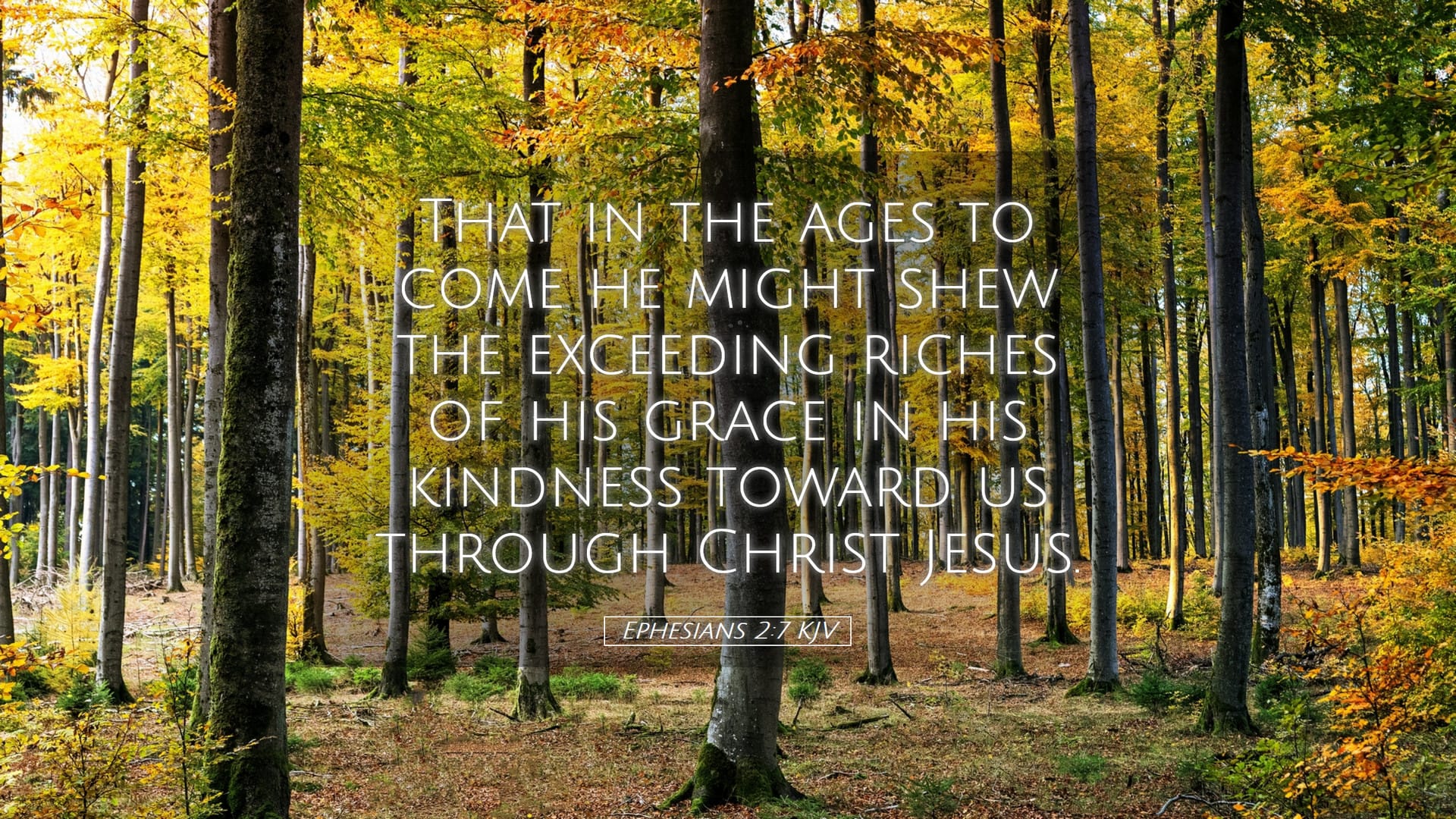 Ephesians 2:7 — Desktop (Landscape)