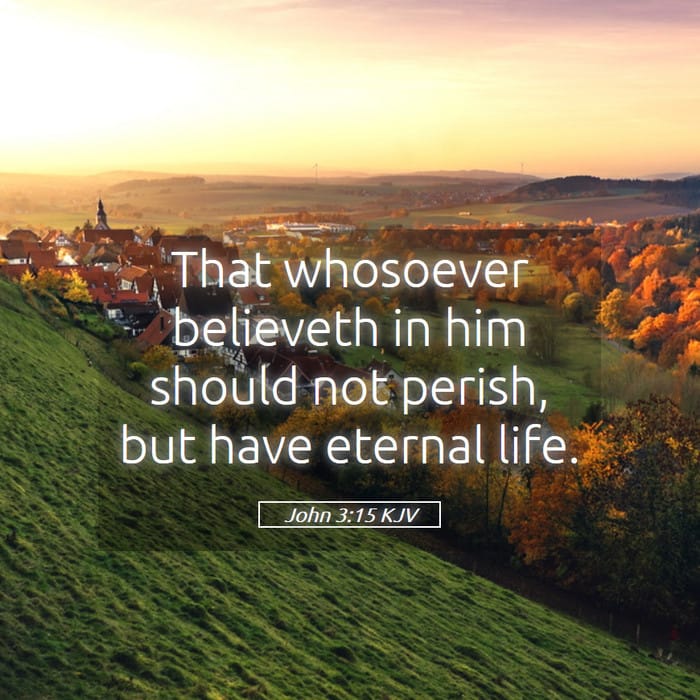 John 3:15 — Square (1:1)