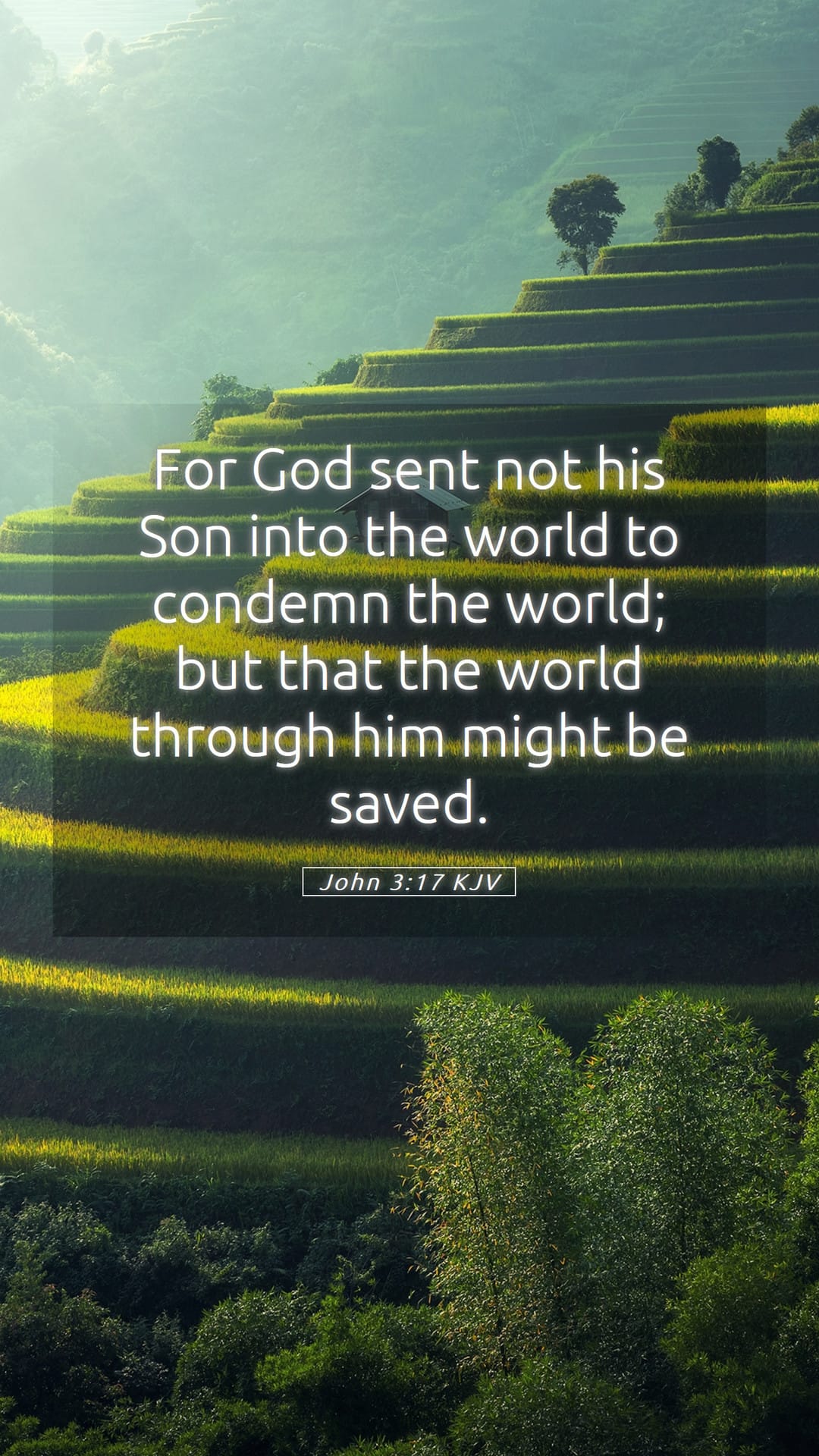 John 3:17 — Mobile (Portrait)