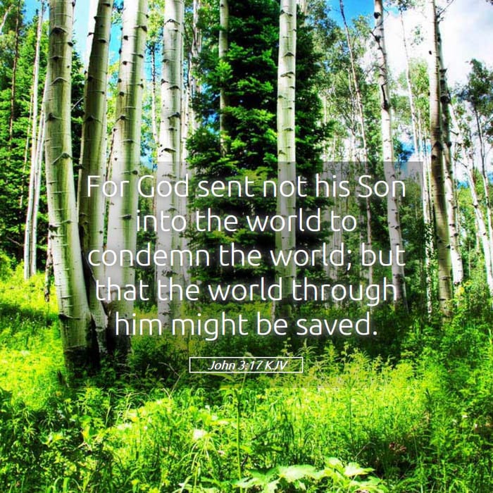 John 3:17 — Square (1:1)