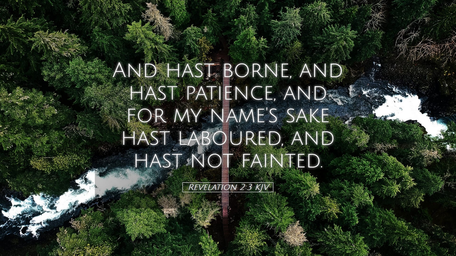 Revelation 2:3 — Desktop (Landscape)