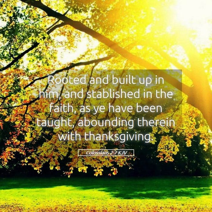 Colossians 2:7 — Square (1:1)