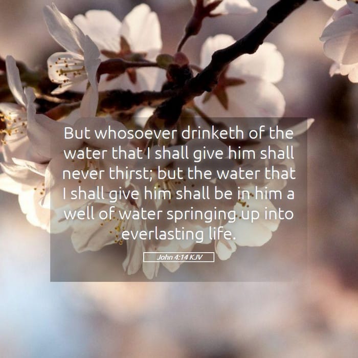 John 4:14 — Square (1:1)