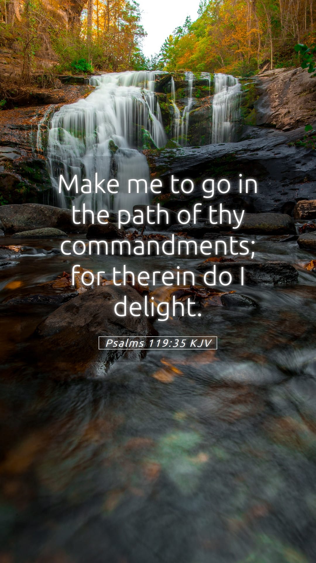 Psalms 119:35 — Mobile (Portrait)