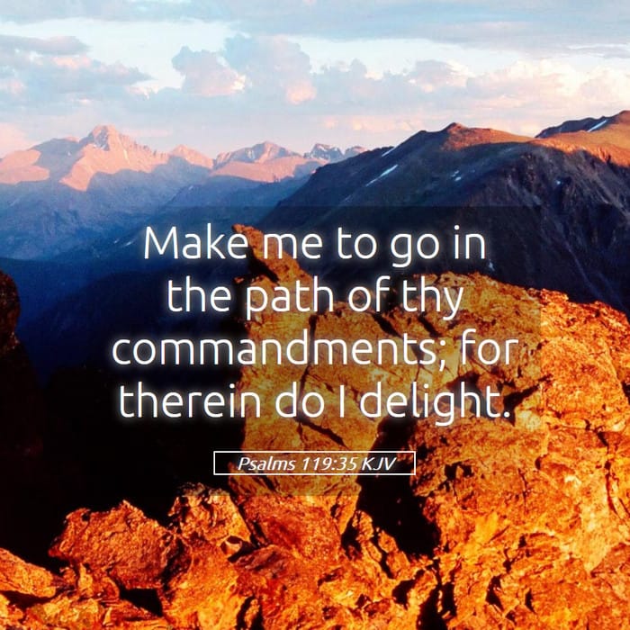 Psalms 119:35 — Square (1:1)