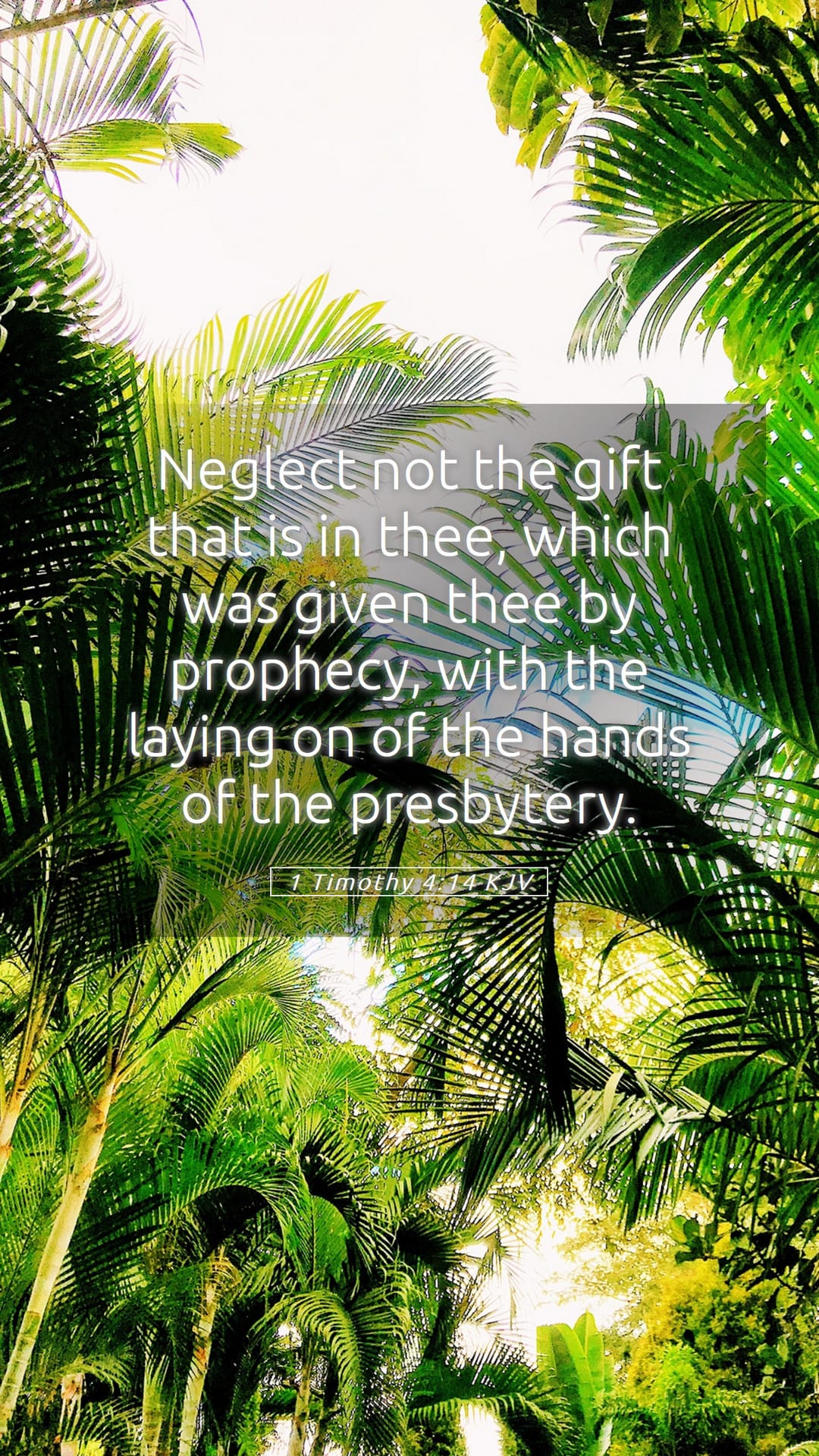 1 Timothy 4:14 — Mobile (Portrait)