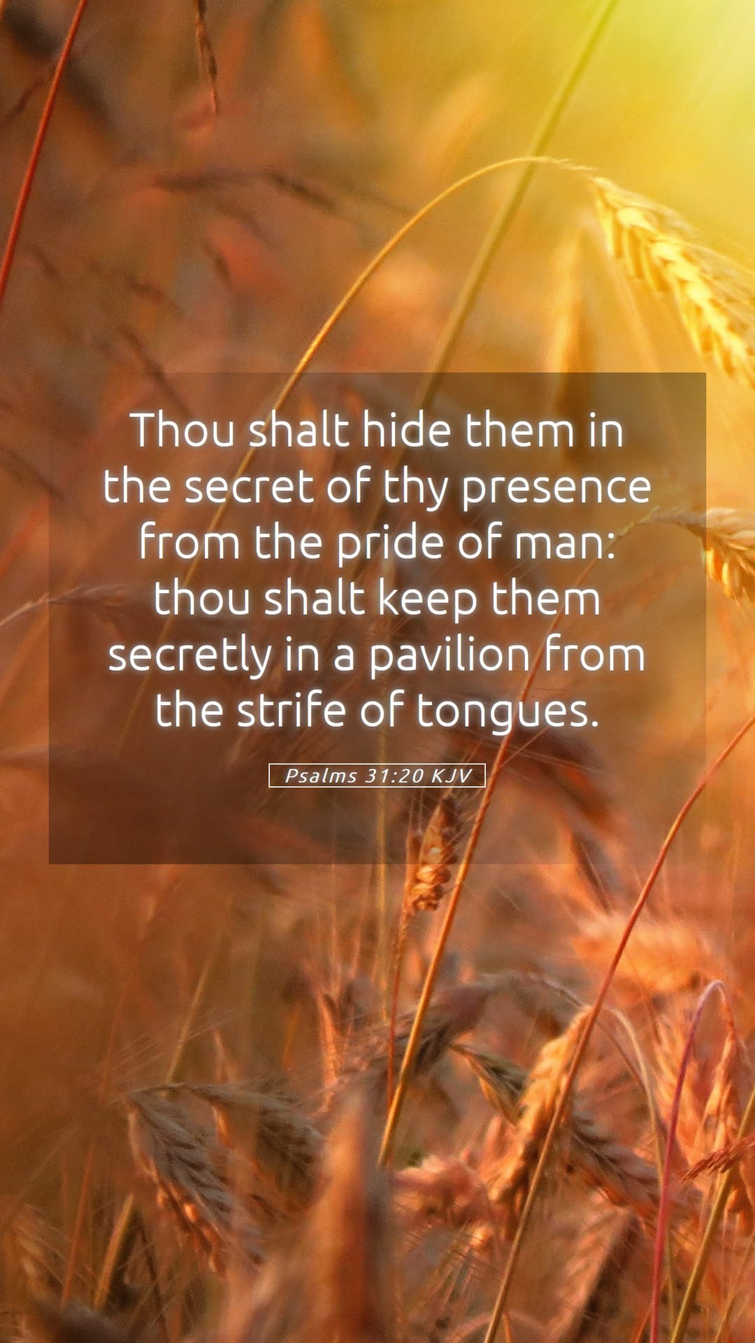 Psalms 31:20 — Mobile (Portrait)