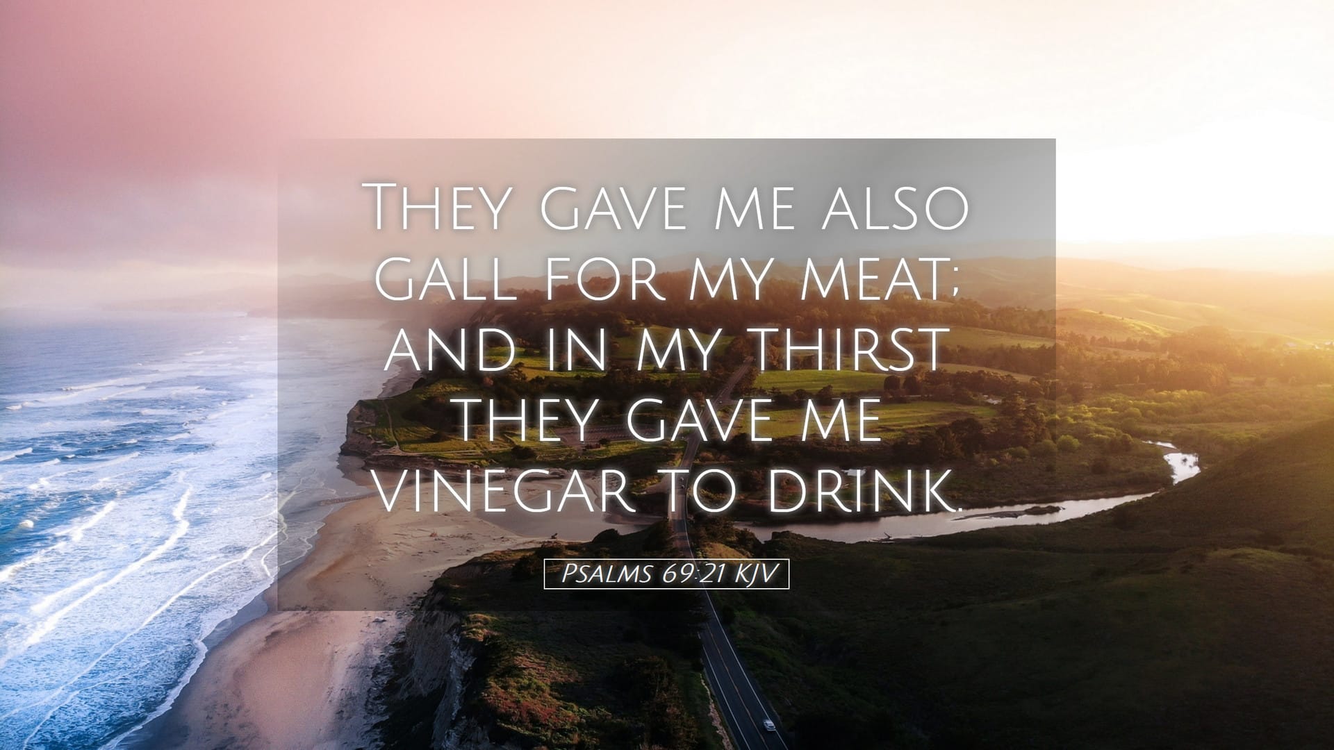 Psalms 69:21 — Desktop (Landscape)