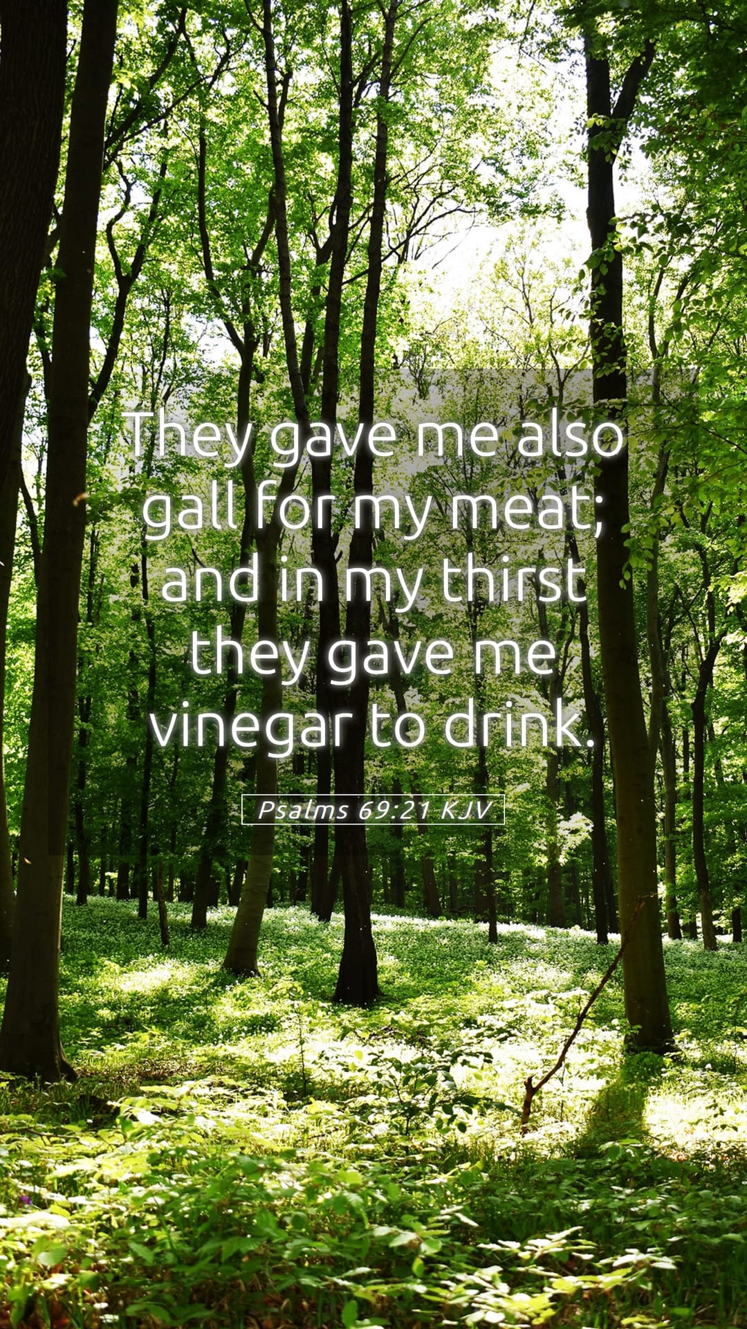 Psalms 69:21 — Mobile (Portrait)