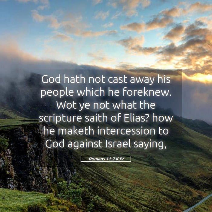 Romans 11:2 — Square (1:1)