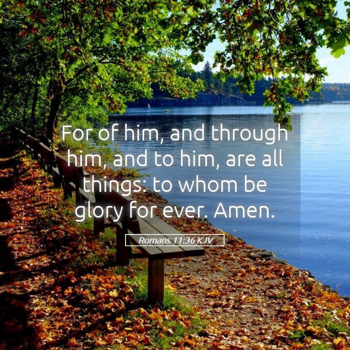 Romans 11:36 — Square (1:1)