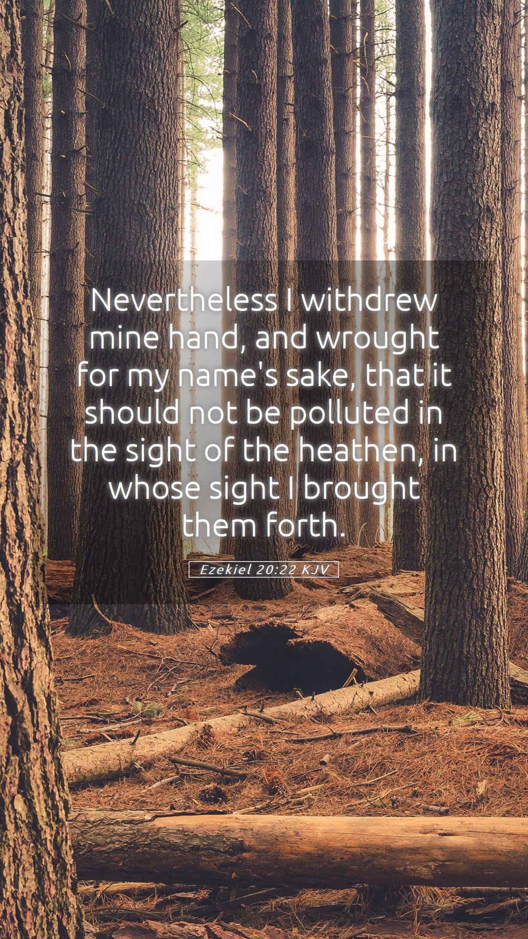 Ezekiel 20:22 — Mobile (Portrait)