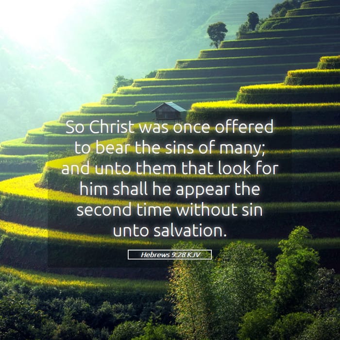 Hebrews 9:28 — Square (1:1)