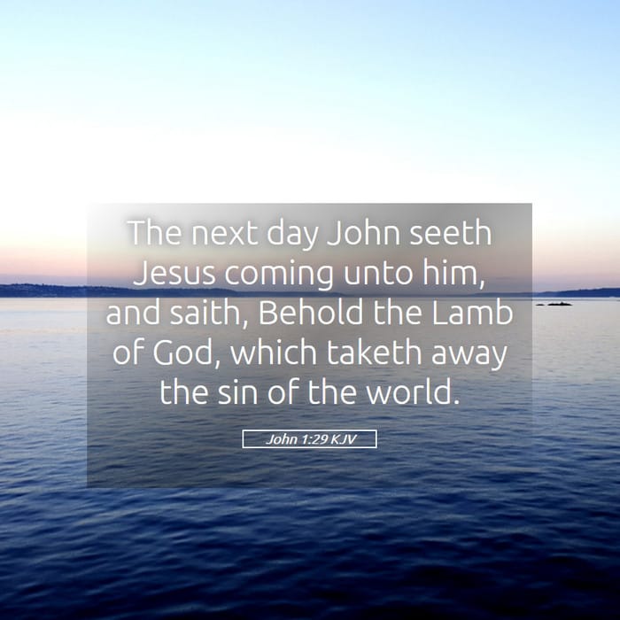 John 1:29 — Square (1:1)