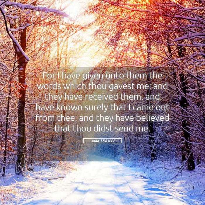 John 17:8 — Square (1:1)