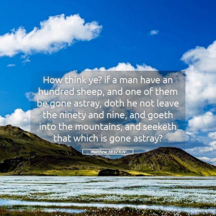 Matthew 18:12 — Square (1:1)