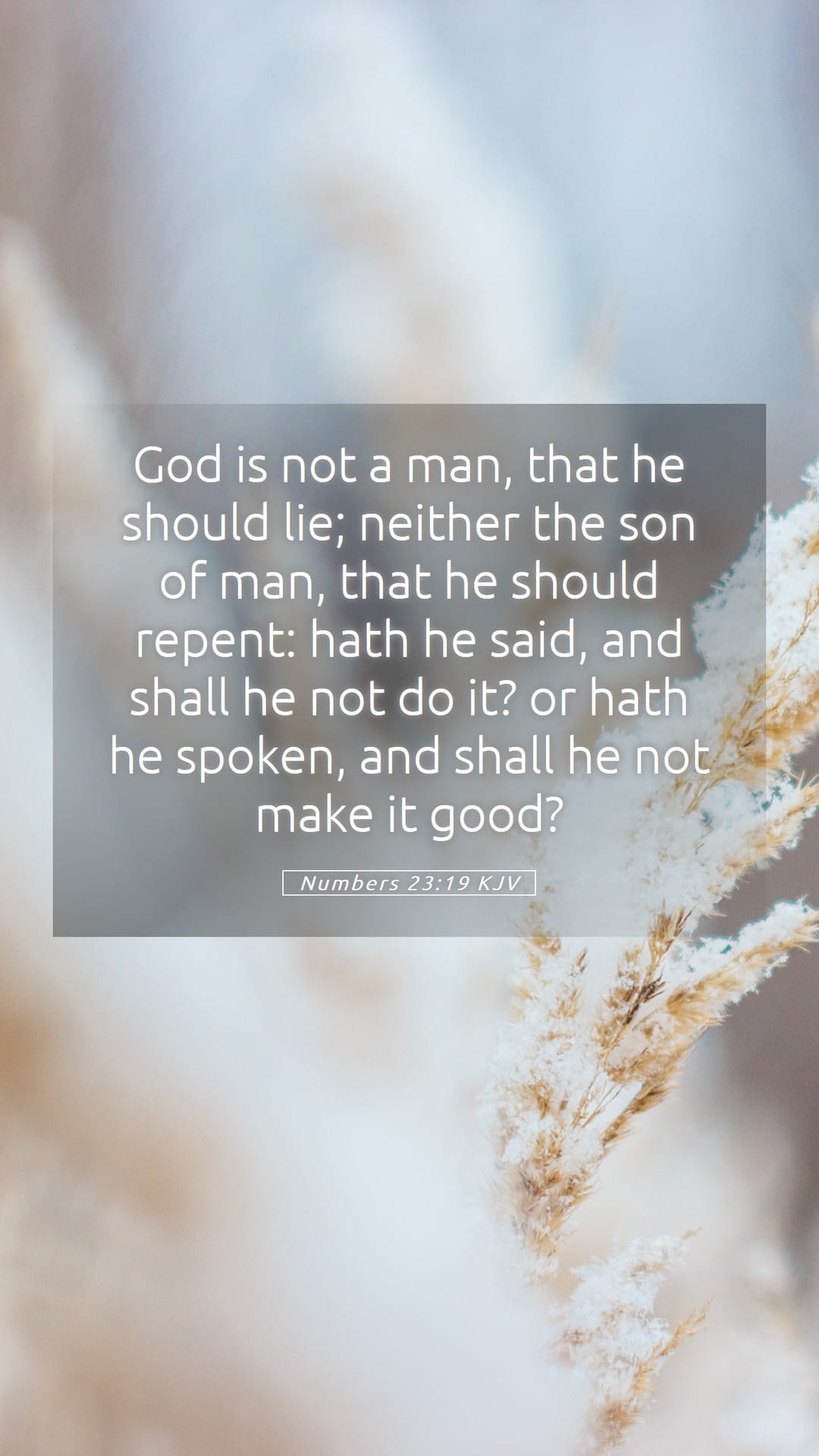 Numbers 23:19 — Mobile (Portrait)