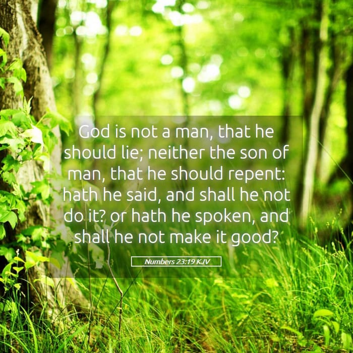 Numbers 23:19 — Square (1:1)