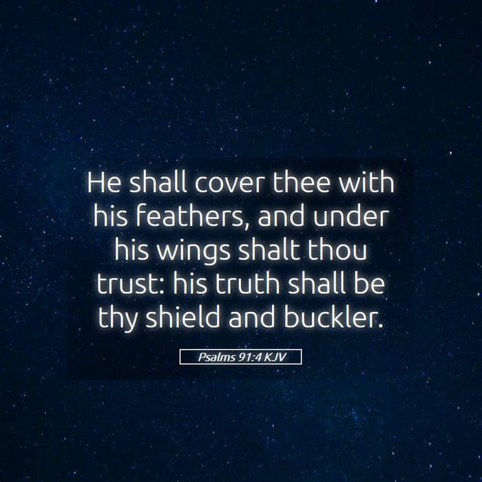 Psalms 91:4 — Square (1:1)