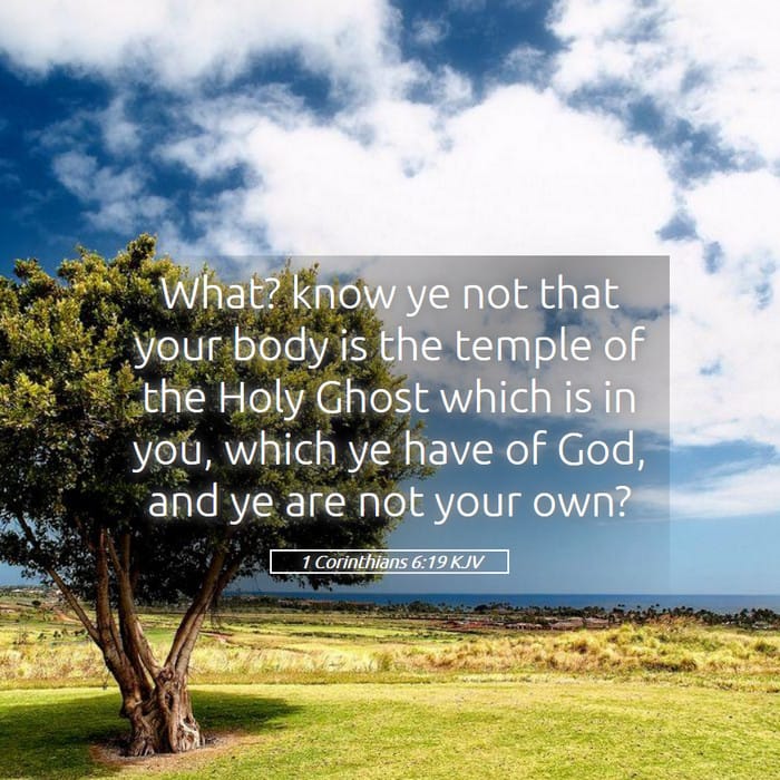 1 Corinthians 6:19 — Square (1:1)