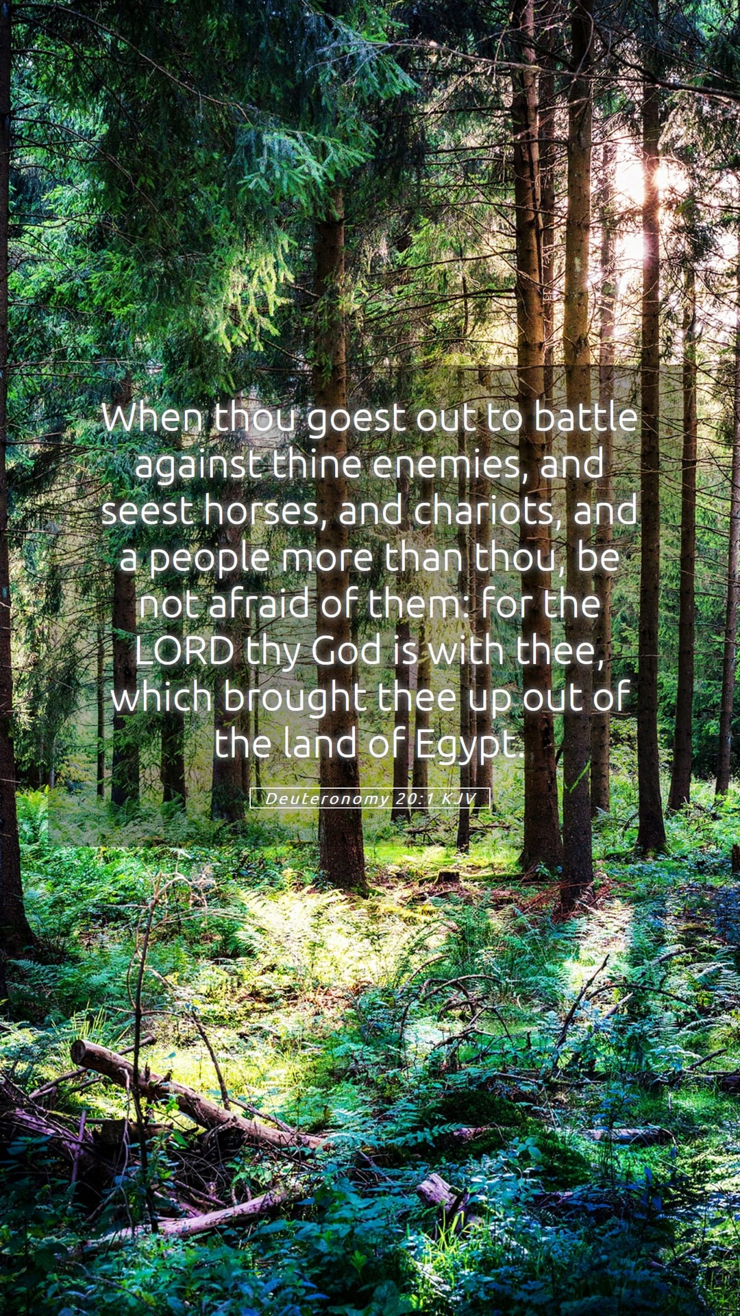 Deuteronomy 20:1 — Mobile (Portrait)