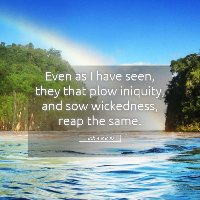 Job 4:8 — Square (1:1)