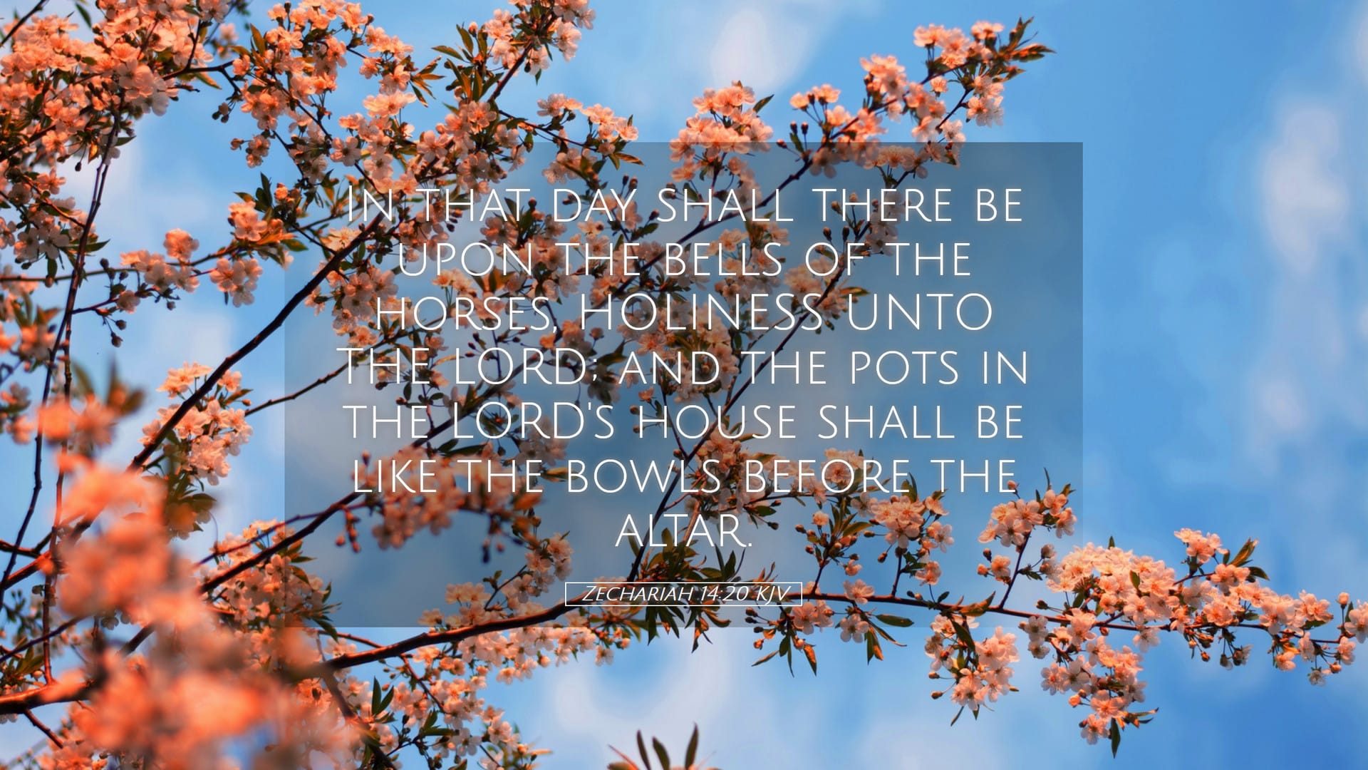 Zechariah 14:20 — Desktop (Landscape)