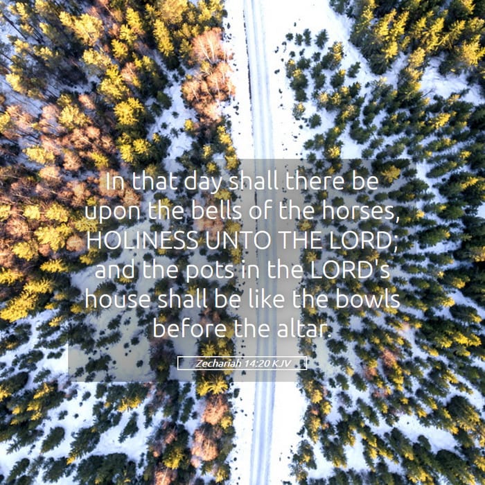 Zechariah 14:20 — Square (1:1)