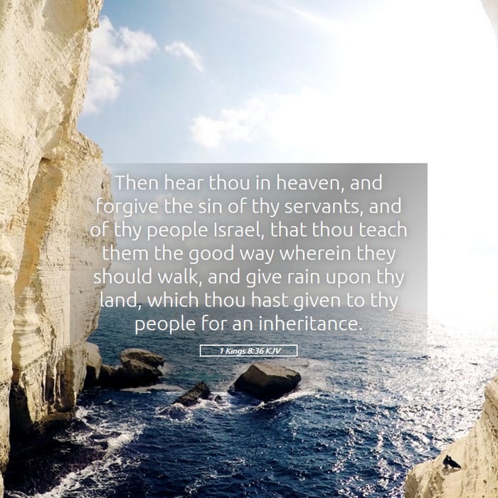 1 Kings 8:36 — Square (1:1)