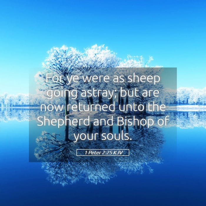 1 Peter 2:25 — Square (1:1)