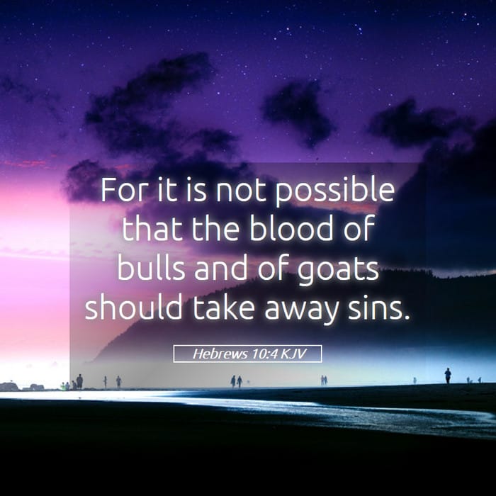 Hebrews 10:4 — Square (1:1)