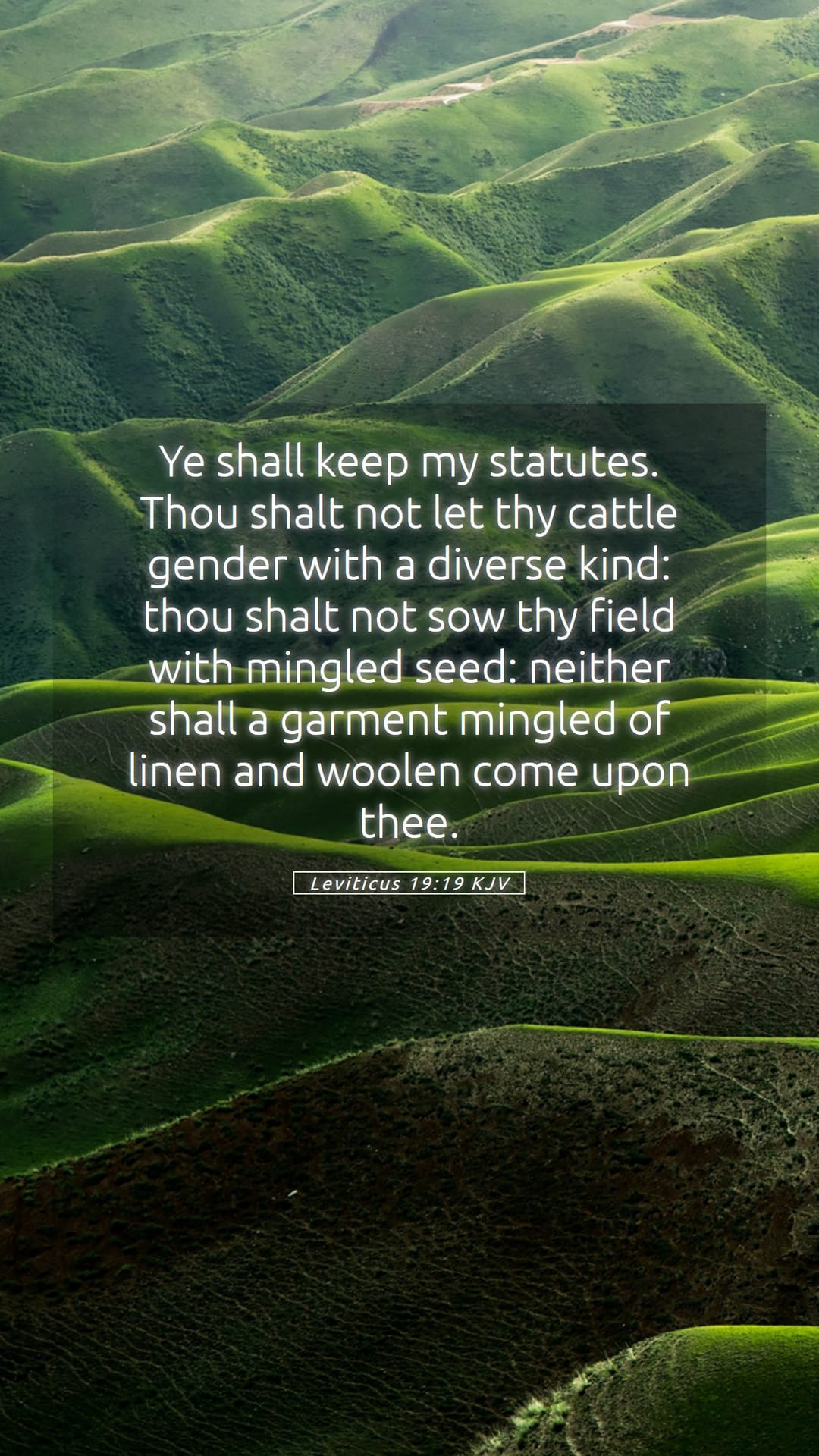 Leviticus 19:19 — Mobile (Portrait)
