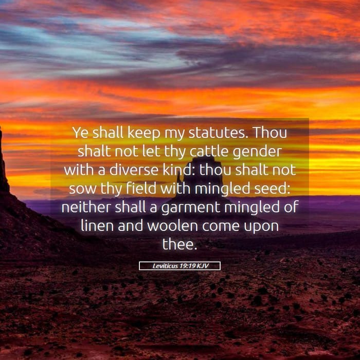 Leviticus 19:19 — Square (1:1)