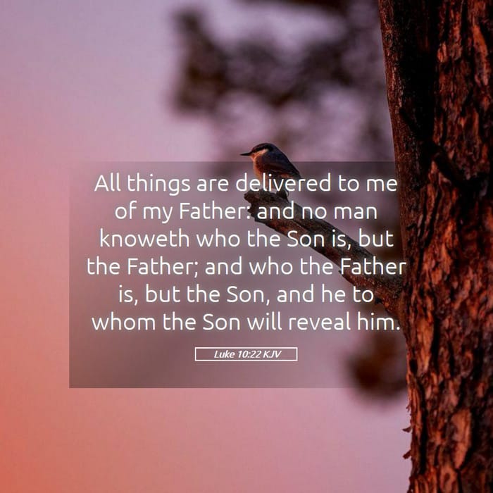 Luke 10:22 — Square (1:1)