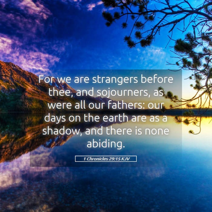1 Chronicles 29:15 — Square (1:1)
