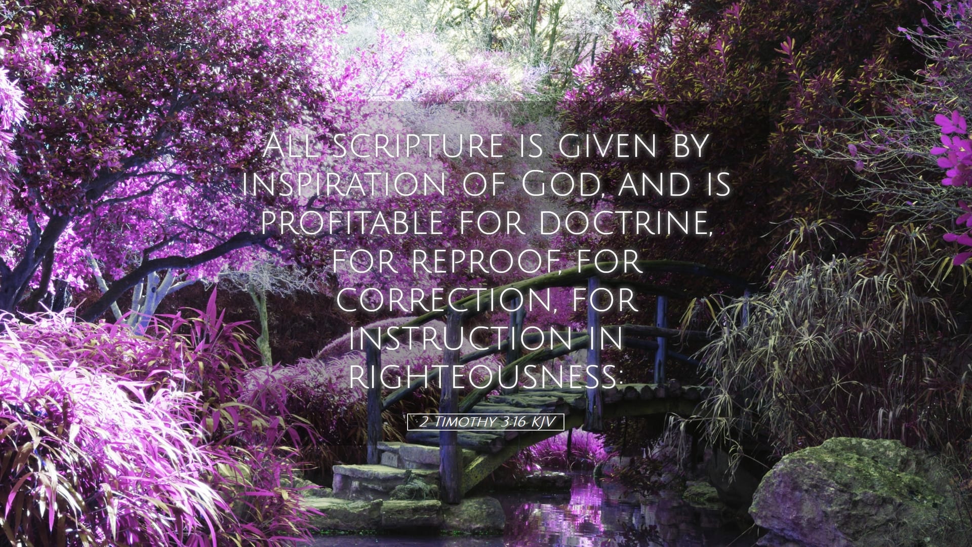 2 Timothy 3:16 — Desktop (Landscape)