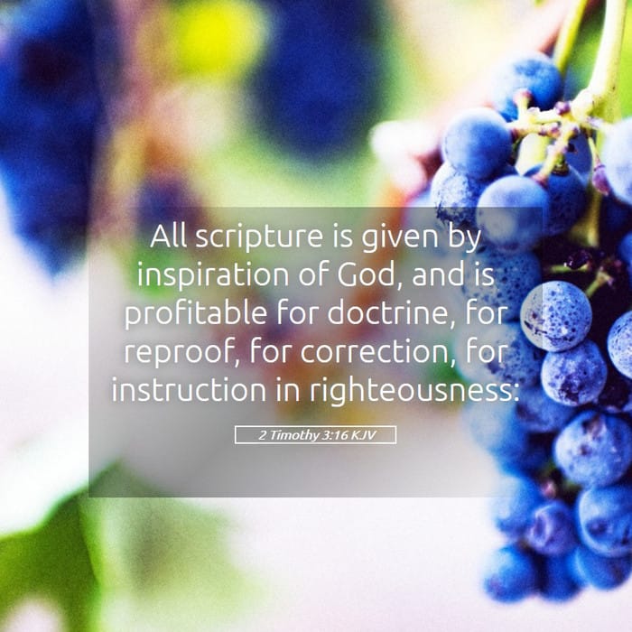 2 Timothy 3:16 — Square (1:1)