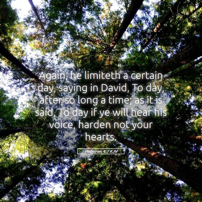 Hebrews 4:7 — Square (1:1)