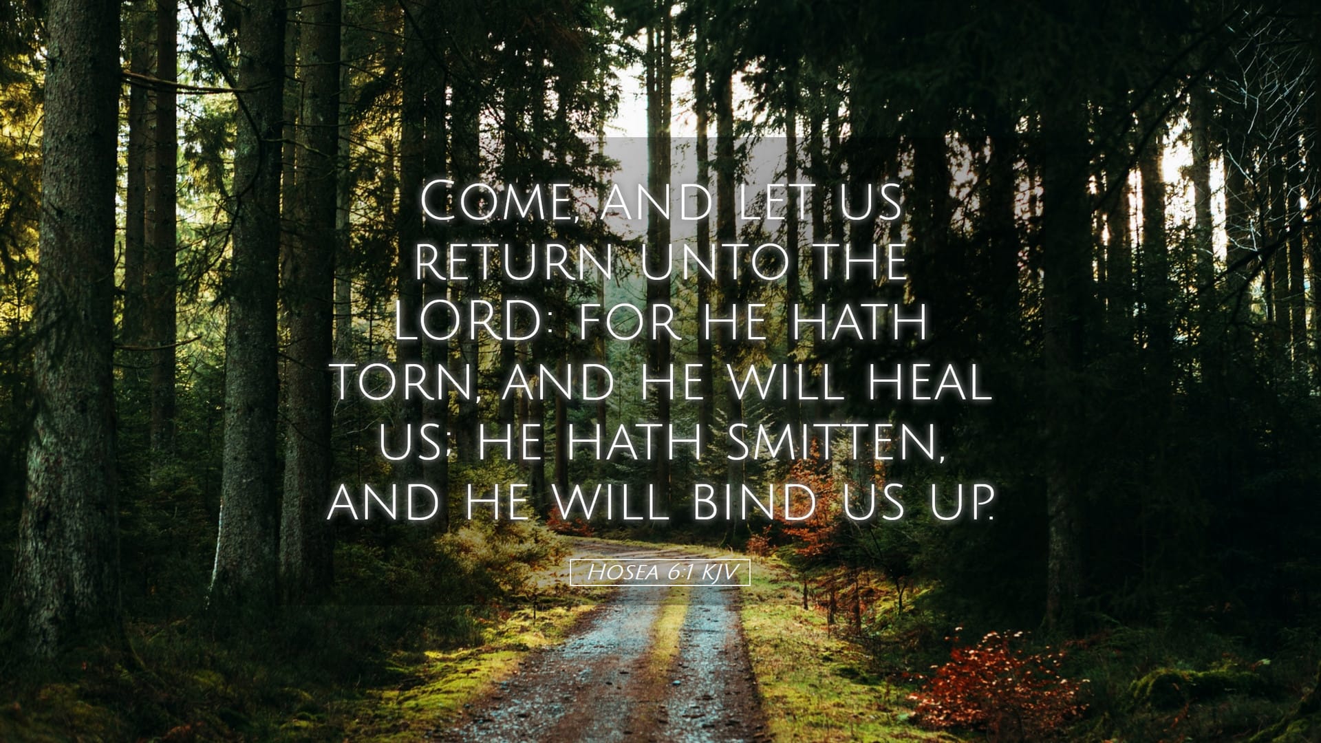 Hosea 6:1 — Desktop (Landscape)
