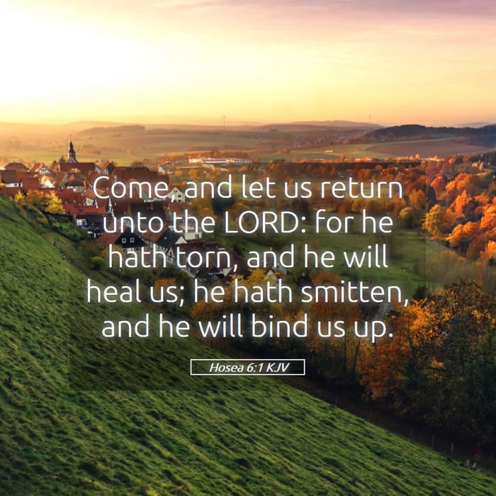 Hosea 6:1 — Square (1:1)