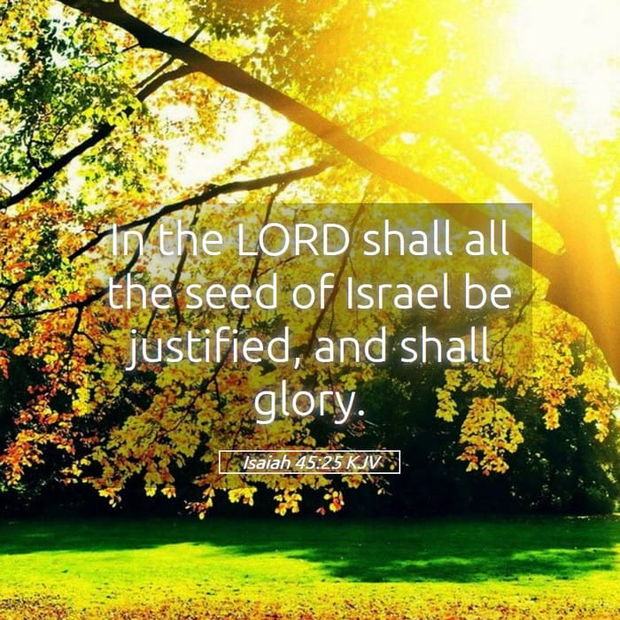 Isaiah 45:25 — Square (1:1)