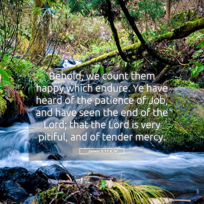 James 5:11 — Square (1:1)